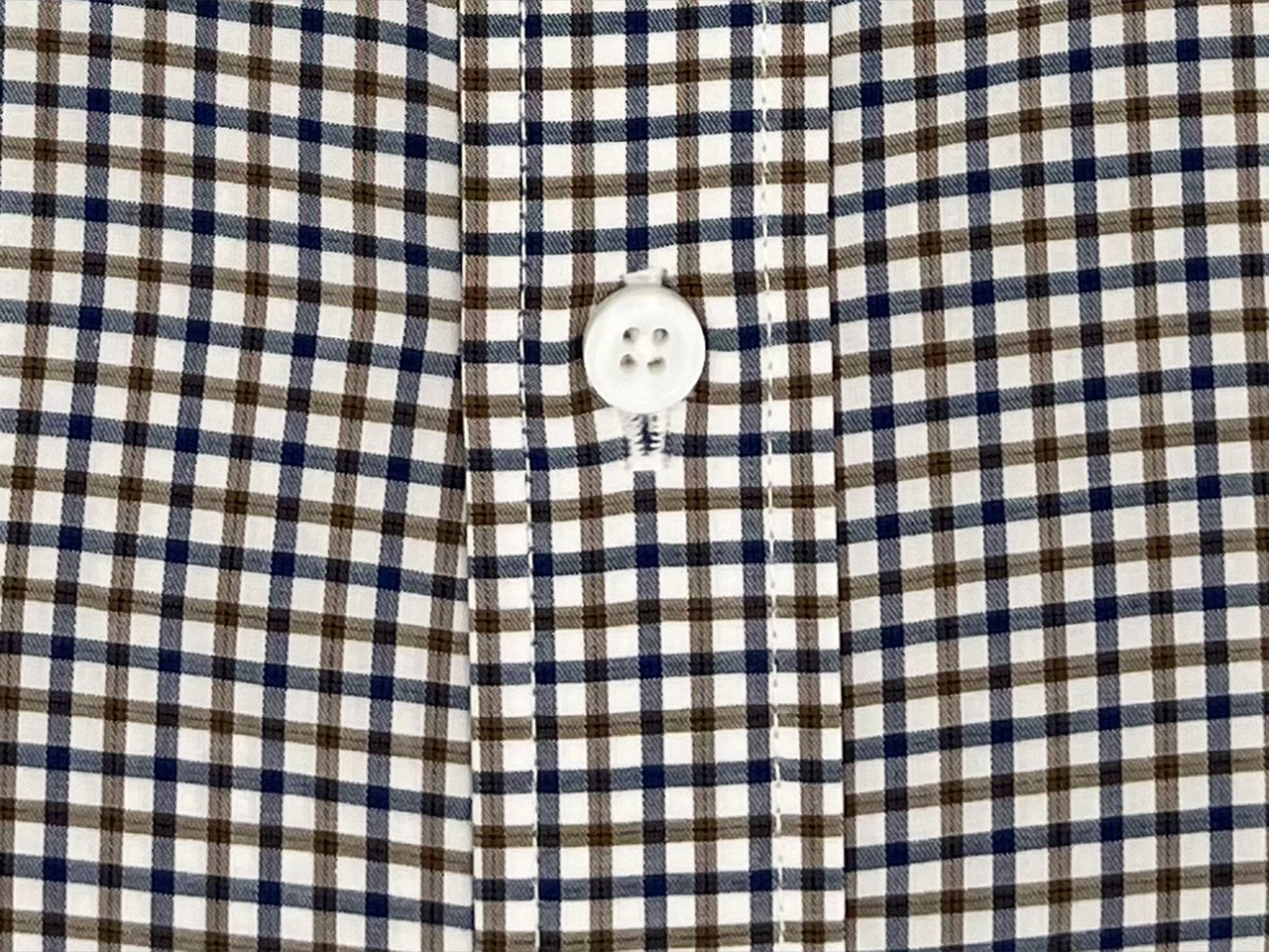 The Micro Autumn Gingham Dress Shirt - Image 3